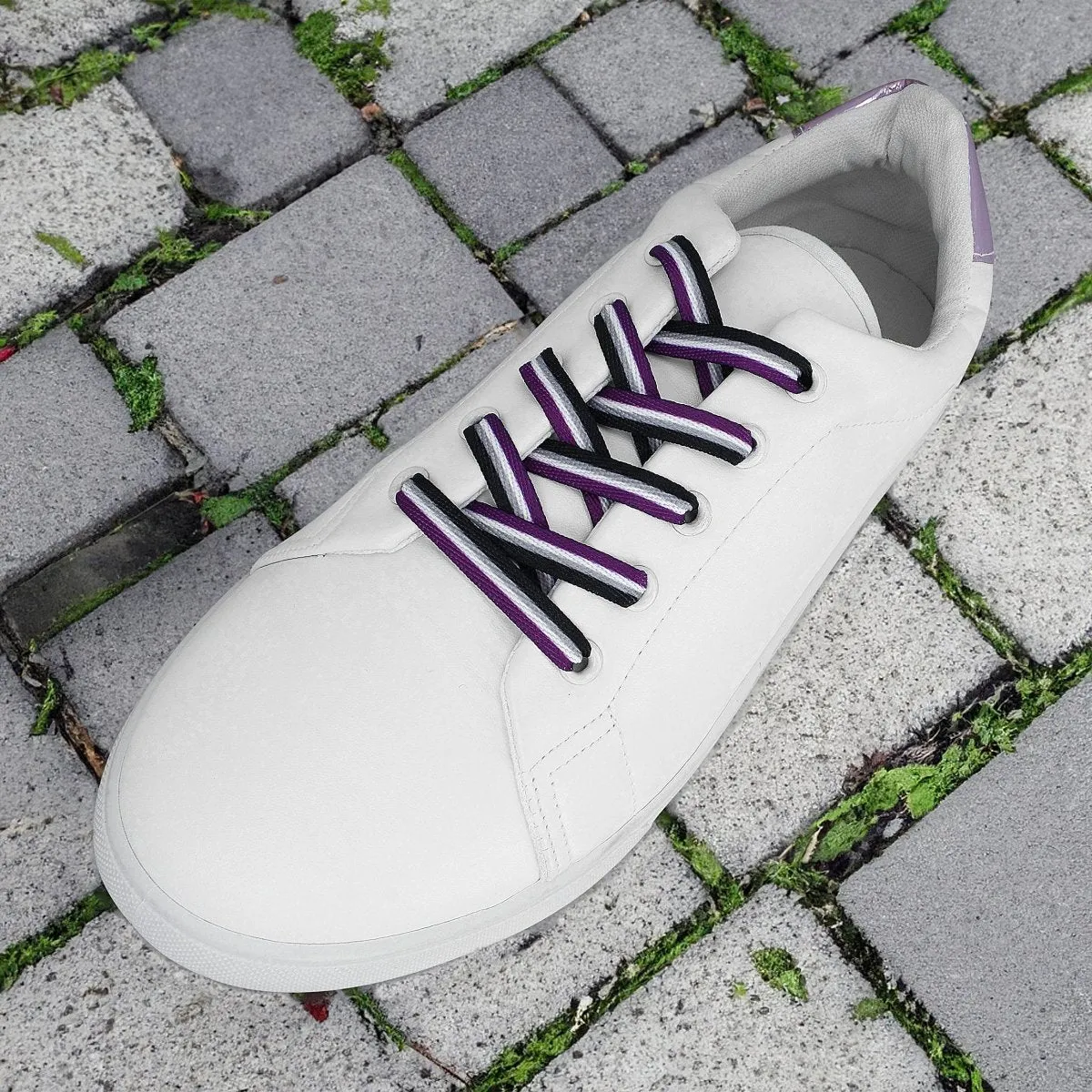 Asexual Flag Striped Shoelaces