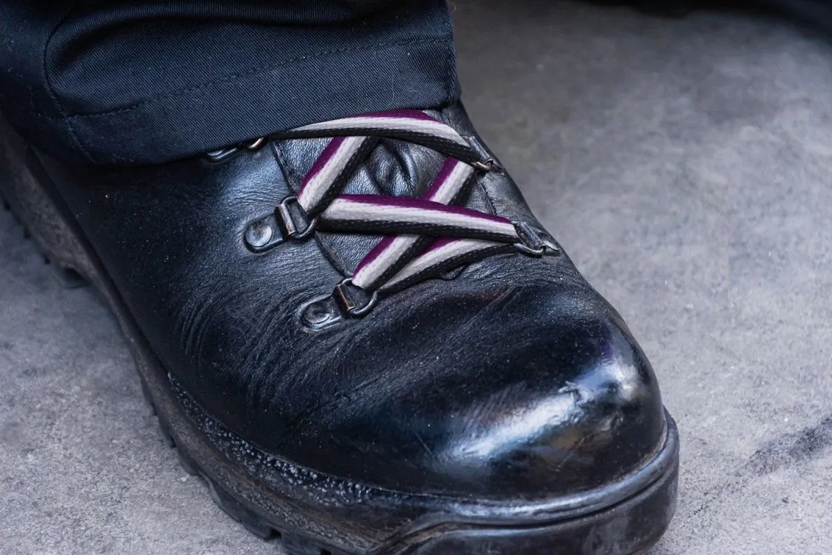 Asexual Flag Striped Shoelaces